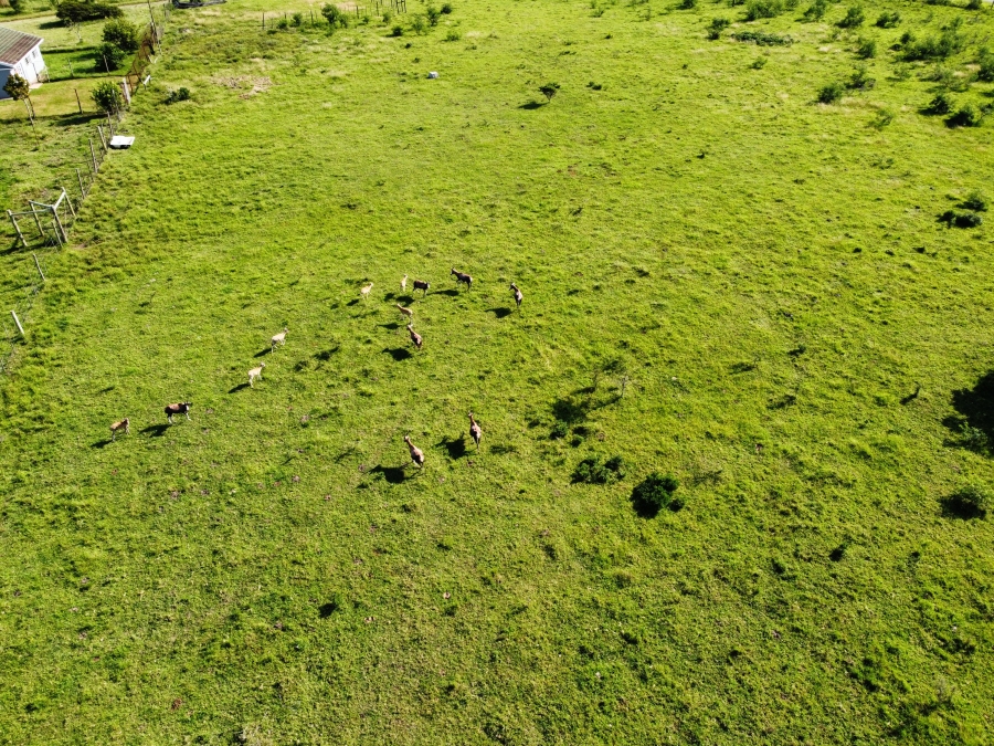 3 Bedroom Property for Sale in Kidds Beach Eastern Cape